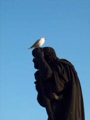 This would have been funnier if it was a statue of St. Francis