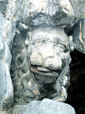 Detail of a lion which evidently had a long night